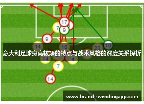 意大利足球身高较矮的特点与战术风格的深度关系探析