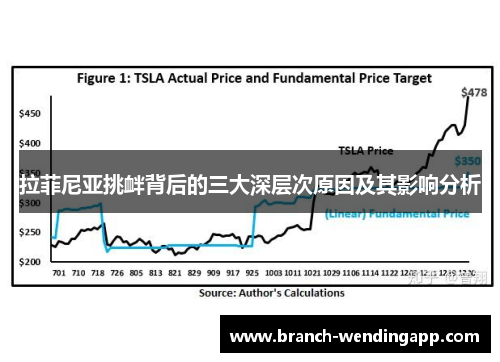 拉菲尼亚挑衅背后的三大深层次原因及其影响分析