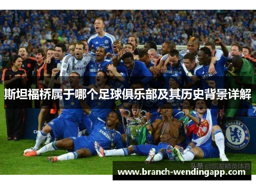 斯坦福桥属于哪个足球俱乐部及其历史背景详解 斯坦福桥属于哪个足球俱乐部及其历史背景详解