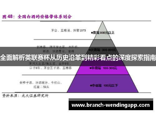 全面解析英联赛杯从历史沿革到精彩看点的深度探索指南