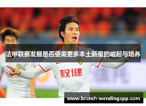 法甲联赛发展是否亟需更多本土新星的崛起与培养