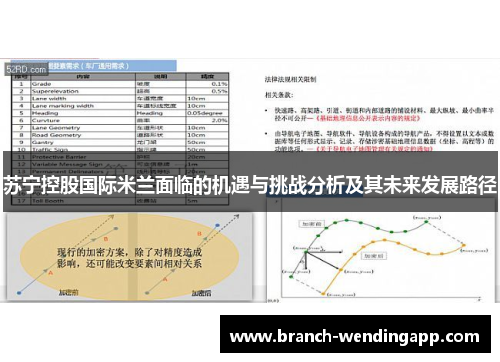 苏宁控股国际米兰面临的机遇与挑战分析及其未来发展路径 苏宁控股国际米兰面临的机遇与挑战分析及其未来发展路径