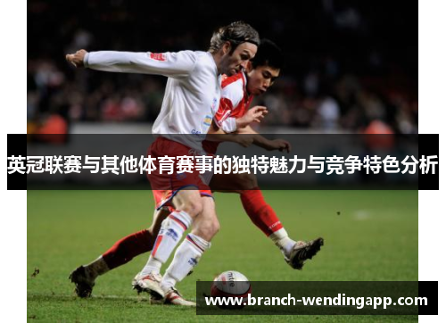 英冠联赛与其他体育赛事的独特魅力与竞争特色分析 英冠联赛与其他体育赛事的独特魅力与竞争特色分析