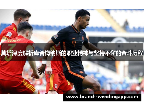 莫塔深度解析库普梅纳斯的职业精神与坚持不懈的奋斗历程