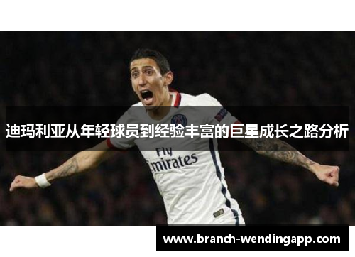 迪玛利亚从年轻球员到经验丰富的巨星成长之路分析