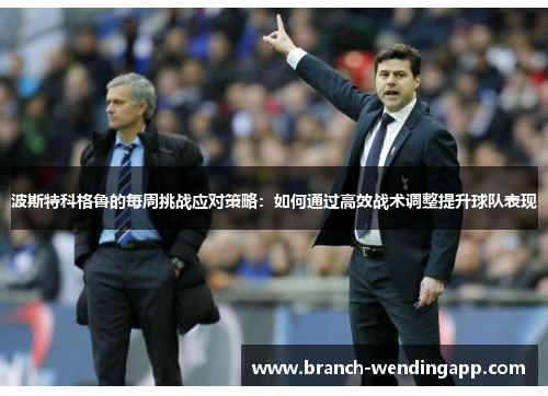 波斯特科格鲁的每周挑战应对策略：如何通过高效战术调整提升球队表现