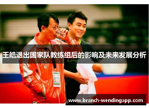 王皓退出国家队教练组后的影响及未来发展分析