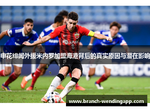 申花绯闻外援米内罗加盟海港背后的真实原因与潜在影响 申花绯闻外援米内罗加盟海港背后的真实原因与潜在影响