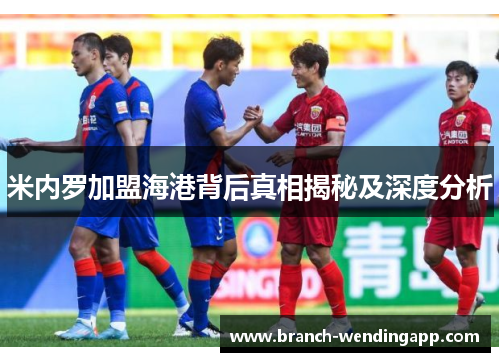 米内罗加盟海港背后真相揭秘及深度分析