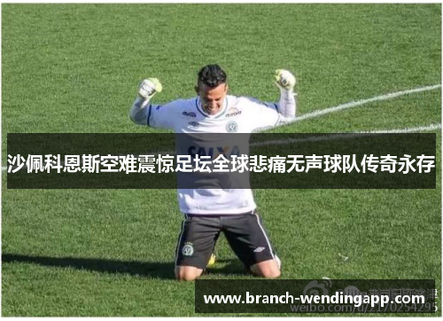 沙佩科恩斯空难震惊足坛全球悲痛无声球队传奇永存