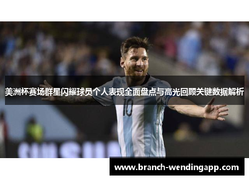 美洲杯赛场群星闪耀球员个人表现全面盘点与高光回顾关键数据解析