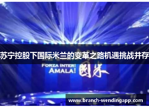 苏宁控股下国际米兰的变革之路机遇挑战并存