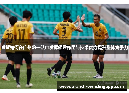 肖智如何在广州豹一队中发挥领导作用与技术优势提升整体竞争力