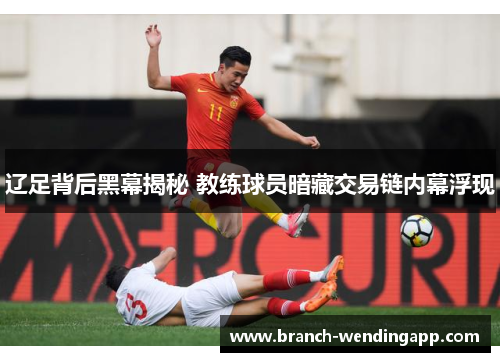 辽足背后黑幕揭秘 教练球员暗藏交易链内幕浮现