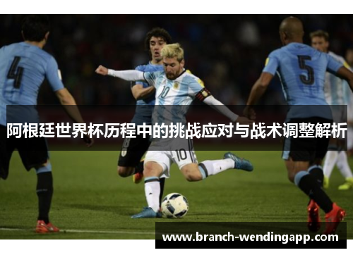 阿根廷世界杯历程中的挑战应对与战术调整解析
