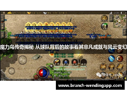 魔力鸟传奇揭秘 从球队背后的故事看其非凡成就与风云变幻