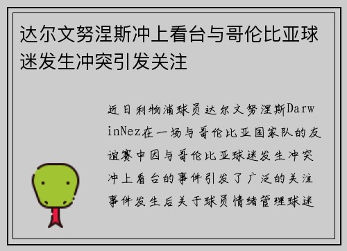 达尔文努涅斯冲上看台与哥伦比亚球迷发生冲突引发关注