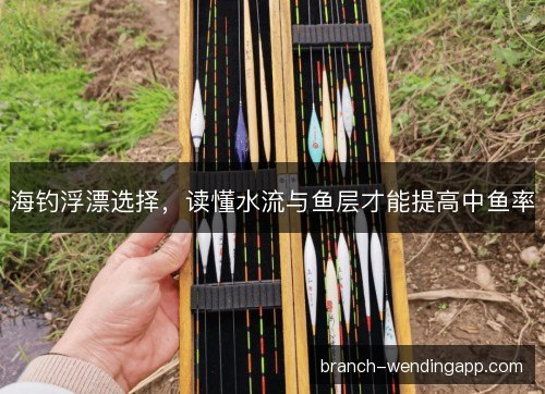 海钓浮漂选择，读懂水流与鱼层才能提高中鱼率